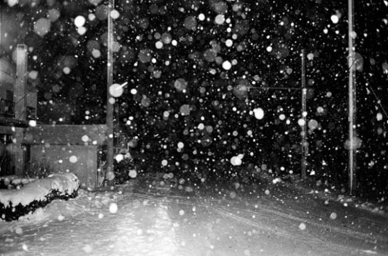 "Snow" © Daido Moriyama (Courtesy of Miyanomori Art Museum)
