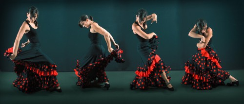 Flamenco-a18073447
